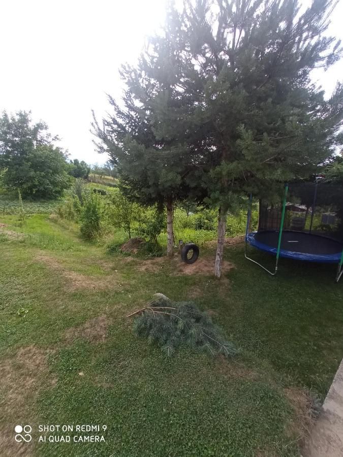 Apartmani Lana SJJ Buitenkant foto