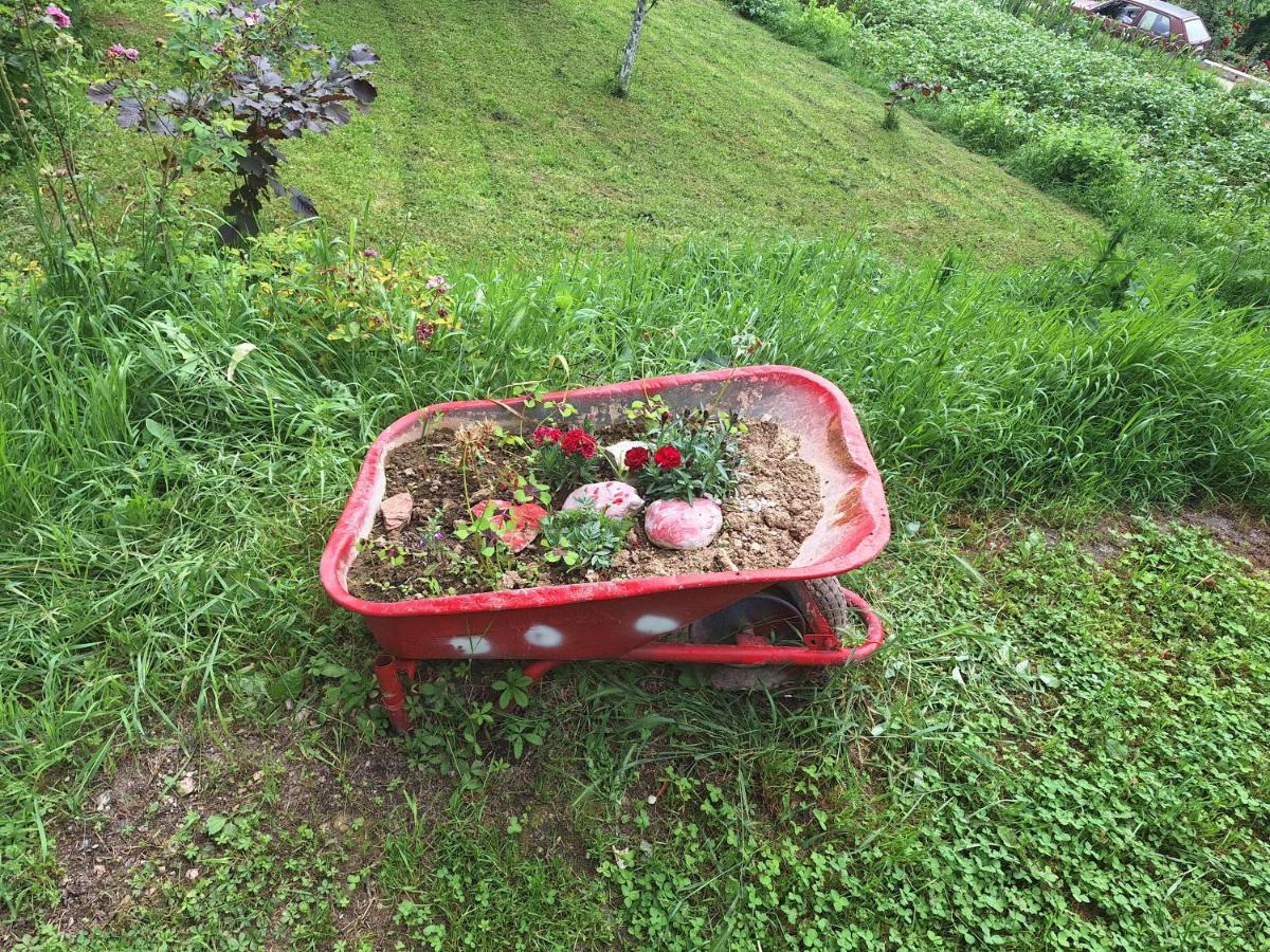 Apartmani Lana SJJ Buitenkant foto