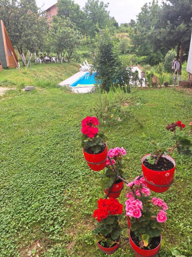 Apartmani Lana SJJ Buitenkant foto