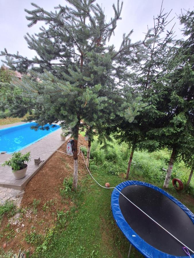 Apartmani Lana SJJ Buitenkant foto